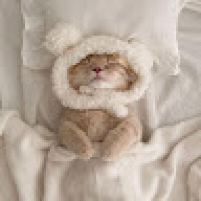 Bao Nguyen is looking for a Studio / Apartment in Leeuwarden